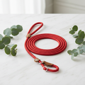 Premium Nylon Dog Collar & Lead Set